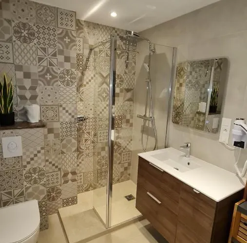 Duplex Climatise Avec Terrasse 